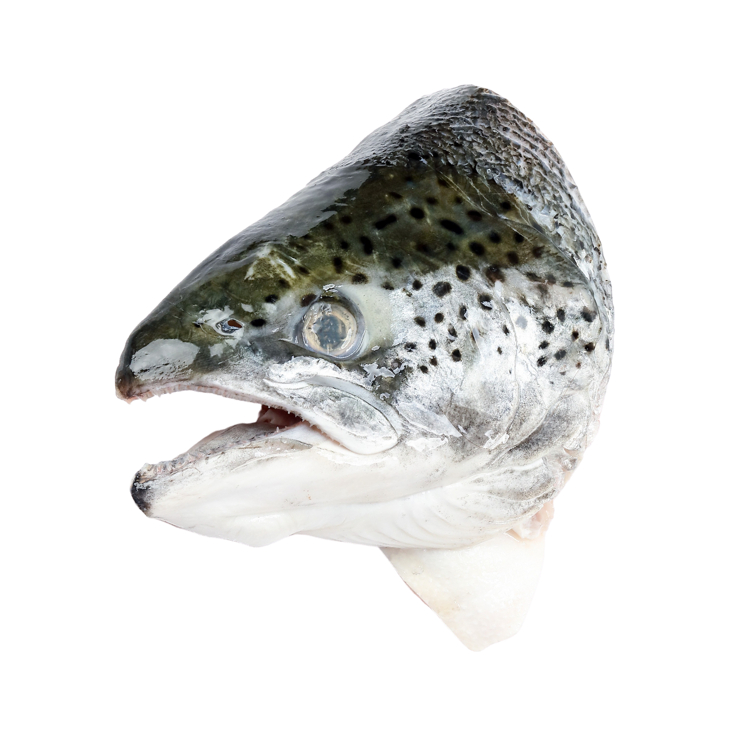 Fish Head $1.99