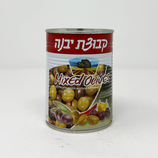 Kvuzat Yavne Mixed Olives 19.7 oz