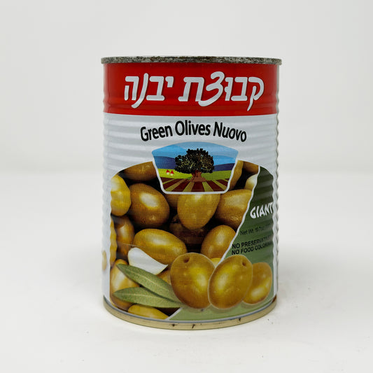 Green Olives Nuovo 19.7 oz