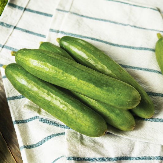 Israeli Cucumber $2.49/lb